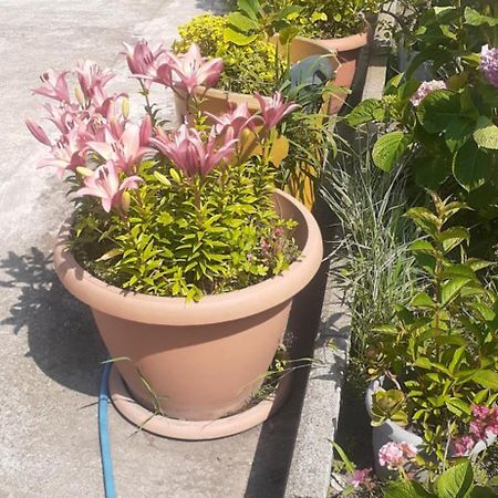Boutique Hotel Pʼotʼi Bagian luar foto